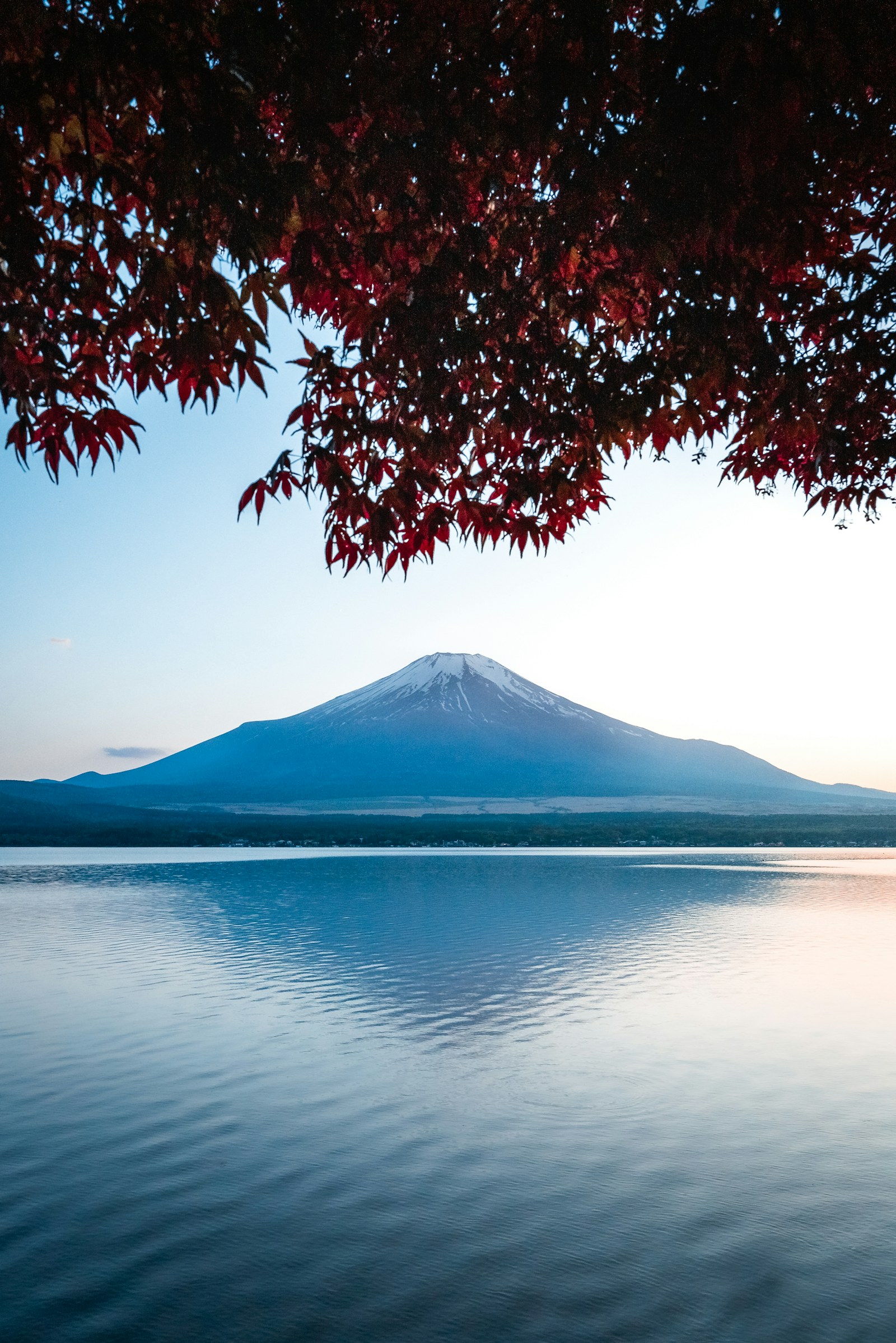Japan travel scenery for Yakushima
